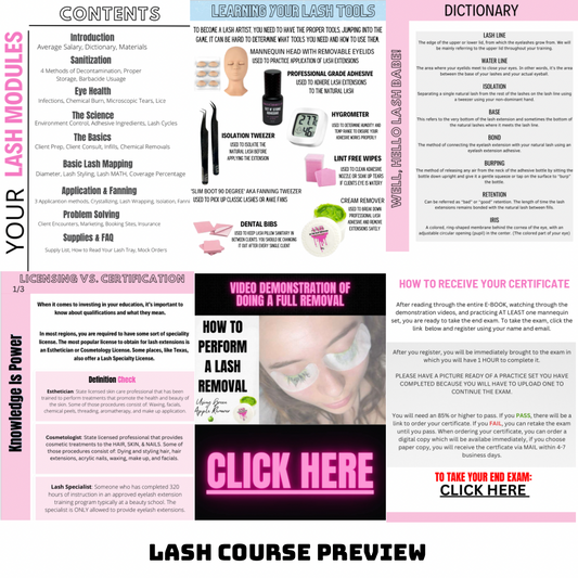 Beginner Lash Course + Lash Map Combo Course